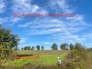 Terreno en venta en Rociana del Condado