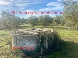 Terreno en venta en Rociana del Condado