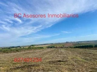 Terreno en venta en Rociana del Condado