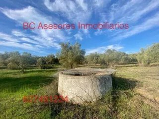 Terreno en venta en Rociana del Condado
