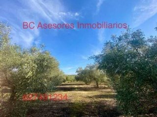 Terreno en venta en Rociana del Condado
