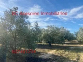 Terreno en venta en Rociana del Condado