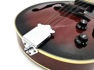 E1808987-0	Mandolina Johnny Guitar M50e