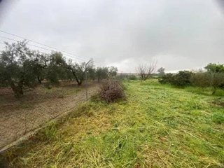 Terreno en venta en Rociana del Condado