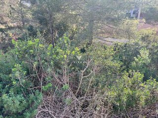 Terreno en venta en Canyelles