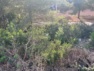Terreno en venta en Canyelles