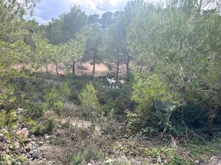 Terreno en venta en Canyelles