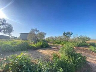 Terreno en venta en Rociana del Condado