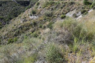 Terreno en venta en Salobreña