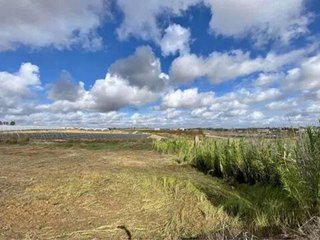 Terreno en venta en Rociana del Condado