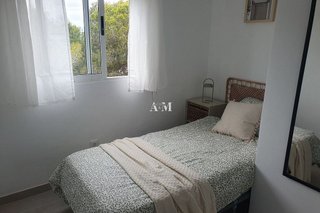Casa pareada en alquiler en San Fulgencio