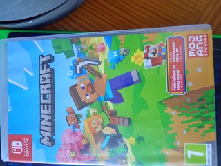 Minecraft Nintendo Switch