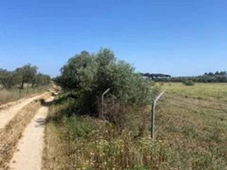 Terreno en venta en Rociana del Condado