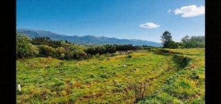 Terreno en venta en Jaraíz de la Vera