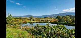 Terreno en venta en Jaraíz de la Vera