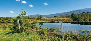 Terreno en venta en Jaraíz de la Vera