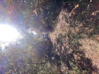 Terreno en venta en Llinars del Valles