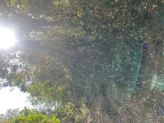Terreno en venta en Llinars del Valles