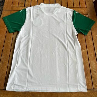 Camisola Palmeiras