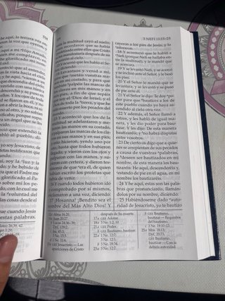 El libro del mormon