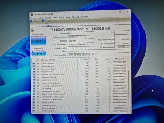 HDD 14TB Seagate SkyHawk AI Recertificado