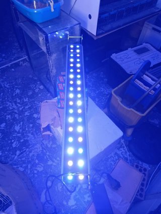 Pantalla LED Acuario Marino