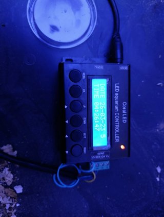 Pantalla LED Acuario Marino