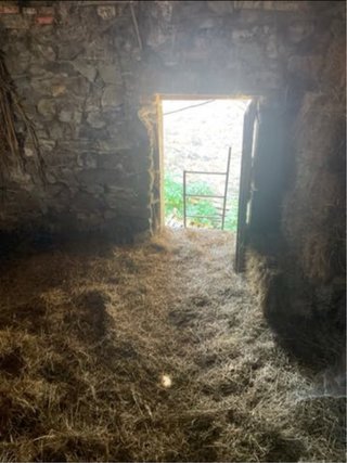 Cuadra en los llanos de Valdeon