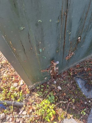 Portón finca con postes y cerradura
