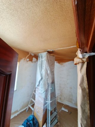 Servicios de pintura profesional