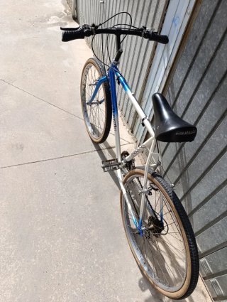 Bicicleta Alzania 26"