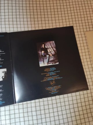 Vinilo Mikel Erentxun Naufragios