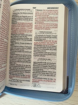 Biblia tamano bolsillo reina valera 1960 primavera