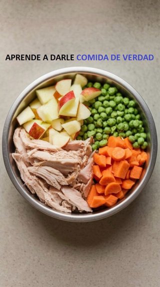 NUTRICIONISTA VETERINARIA