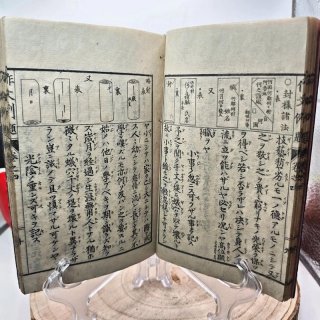 Libro Giappone Edo Scuola Manuale Scrittura