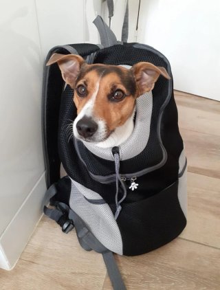 Mochila transportín para perro/gato