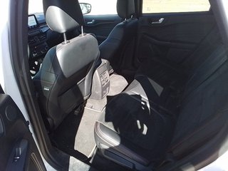 Ford Kuga 2.5 Duratec FHEV ST-Line X 4x2 Auto 140 kW (190 CV)
