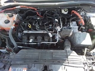 Ford Kuga 2.5 Duratec FHEV ST-Line X 4x2 Auto 140 kW (190 CV)