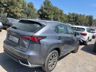 Lexus NX 300h Business Navigation 2WD 145 kW (197 CV)