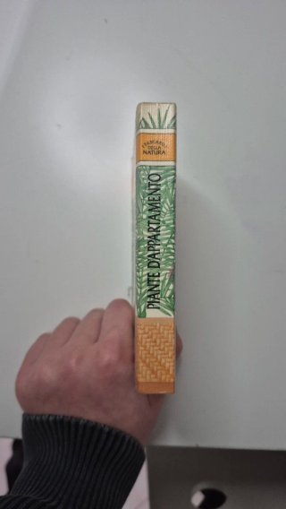 Piante d'appartamento