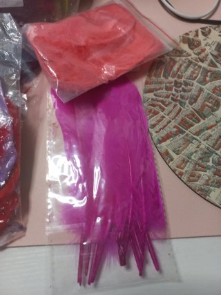 Lote de Plumas Decorativas Variadas
