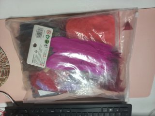 Lote de Plumas Decorativas Variadas