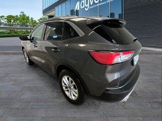 Ford Kuga 2.0 EcoBlue MHEV Titanium 110 kW (150 CV)