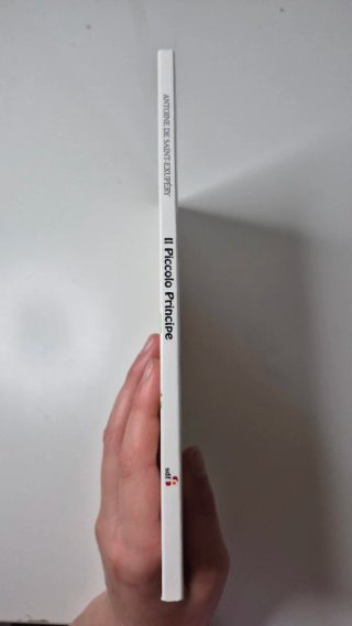 Libro il piccolo principe