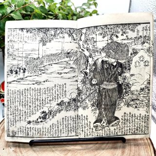 Libro Giappone Edo 1800 Illustrato Ukiyo-e
