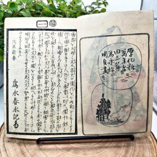 Libro Giappone Edo 1800 Illustrato Ukiyo-e