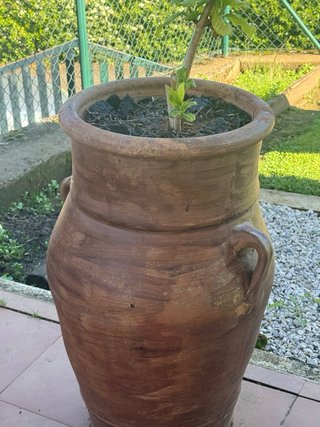 Banco de madera blanco