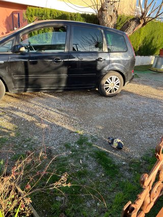 Ford C-MAX 2004
