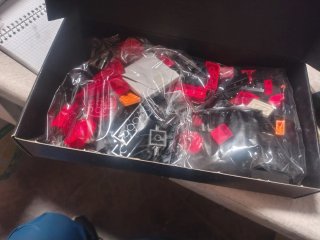 LEGO Pato 2011