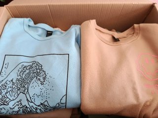 Lote 12 sudaderas Pull&Bear i Shein  T.XS/S/M